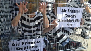 PETA buys Facebook shares in a bid to boost social media visibility