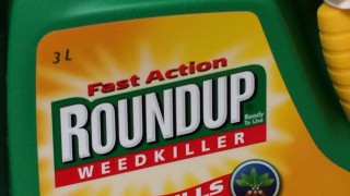 US judge cuts damages on Monsanto in Roundup cancer case