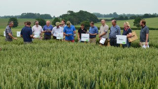Fram Farmers’ Trials Day attracts a record attendance