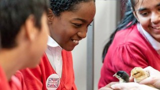 NFU transforms London school into farm