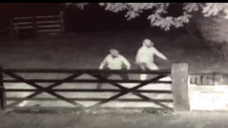 Video: Culprits caught on camera trying to butcher sheep