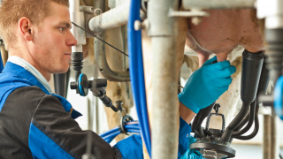 Video: New ‘breed’ of milking cluster launched by DeLaval