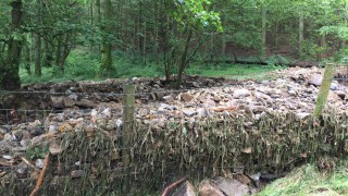 Defra to make £2 million available to help Yorkshire farmers