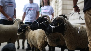 Defra slams ‘inaccurate’ People’s Vote claims