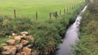 CAFRE to host Environmental Farming Scheme farm walk