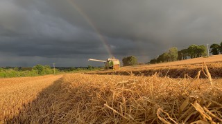 Grain price: No pot of gold at the end of the rainbow