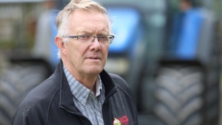 UFU not anticipating no-deal Brexit dairy cow cull