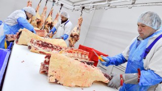 ‘Panic’ gripping UK meat industry over no-deal tariff fears