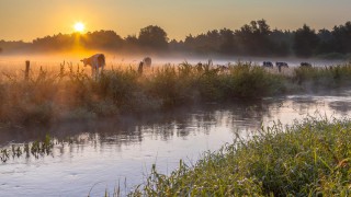 Farmer fined for effluent pollution of waterway