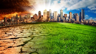 UN report: Better land management and dietary changes needed