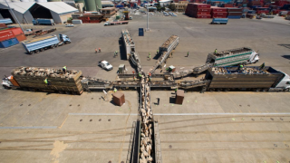 Video: 56,000 sheep loaded on ship bound for Middle East