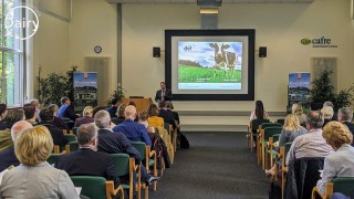 EU dairy conference showcases NI’s ‘significant work’ to lower carbon footprint