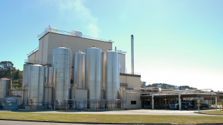 Some updates on the global milk production front