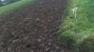 Should I house my cows to prevent poaching?