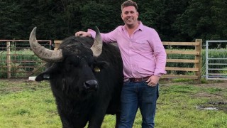 Fife farmer raises £550,000 to launch Scotland’s first buffalo mozzarella