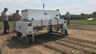 UK weeding robot trials show chemical reduction of up to 95%