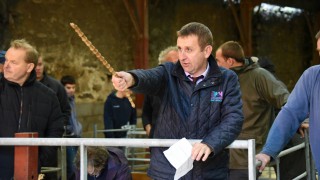 Welsh farmers familiar with EBVs but not exploiting them