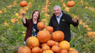 Gilfresh ‘carves’ the way as Asda’s first NI-based pumpkin supplier