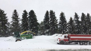 Grain price: Snow in US and drought in Australia