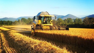 Winners of harvest photo competition announced