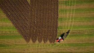 Giant anti-Brexit message ploughed into English field