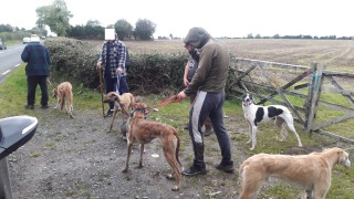 6 poachers trespassing on farmland ‘facing prosecution’