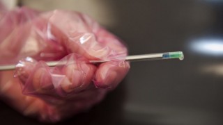 Sexed semen: Why is it not there yet?