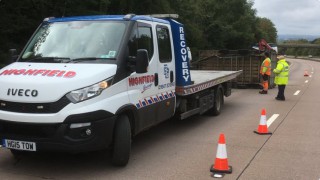 ‘Several sheep killed and injured’ following UK trailer accident