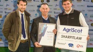 Kelso flock named Scottish Sheep Farm of the Year
