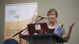 ‘When we stand on soil we’re standing on the rooftop to another world’