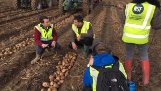 Potatoes Next Generation: Applications open at BP2019