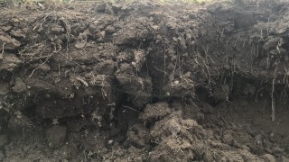 Improving soil health…10 tips