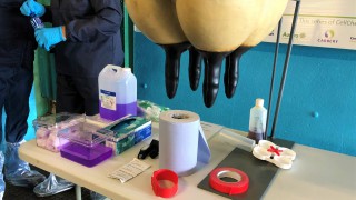 15 steps to get the best results at drying off