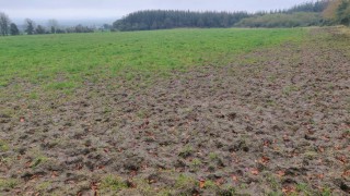 Grass growth: Could be time to pull the plug