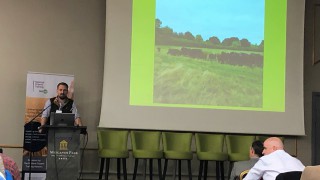 Finishing cattle off mixed-species grasslands alone in the UK