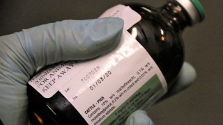 Antibiotics training to become mandatory for assured NI beef and lamb farmers