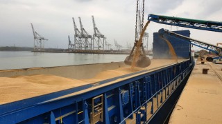 Grain price: UK exports moving at record pace