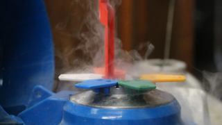 Sexed semen now accounts for almost 1 in 3 UK inseminations