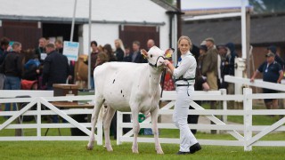Finalists announced for 2019 Holstein UK President’s Medal