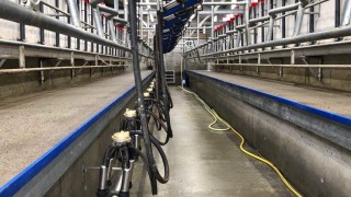 Northern Irish milk prices: A round-up for October as winter bonuses kick in