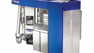 DeLaval launches a new heat and pregnancy detecting milking system