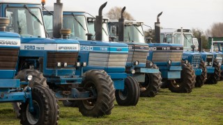 Auction report: TW mania at massive ‘on-site’ sale