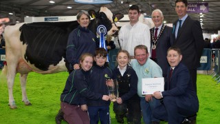 Limerick breeder clinches 2019 RUAS Winter Fair championship
