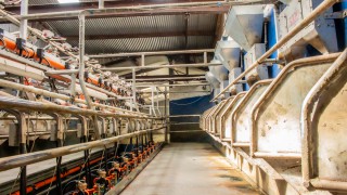 ‘Time to spell out problems in north’s dairy industry’ – NI farmers