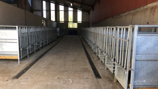 Management hint: Your complete pre-calving checklist