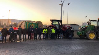 Price gap between Irish and UK beef expected to widen – IFA