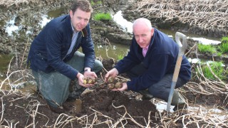 NI potato harvest: Unfinished business as up to 10% remains underground