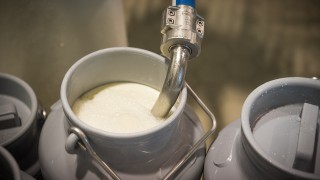 Commentary: Dairy commodity prices and global milk supply