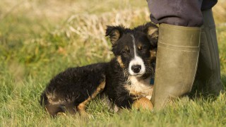 Looking for a fresh new job in agriculture?