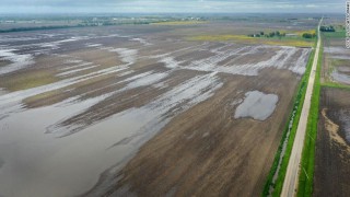 Where did US corn and soybean figures finish?